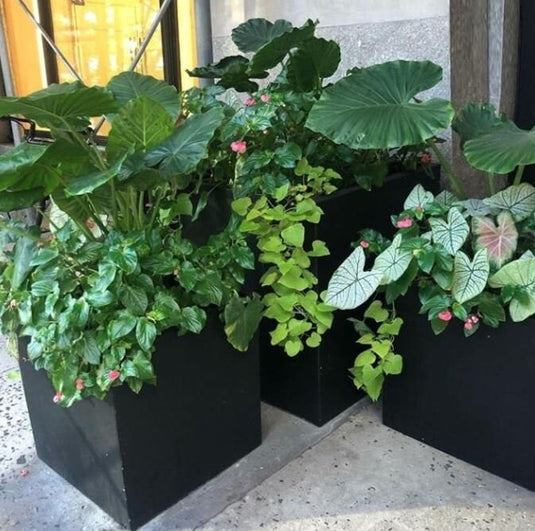 Pair of Square Black Concrete & Fibrestone Outdoor Garden Pots