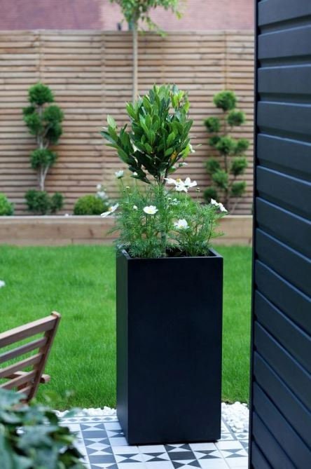 Tall Black Contemporary Modern Light Concrete Planters Pots for Outdoor Balcony Garden Terrace Trees Shrubs Palms Standards Modern Decor