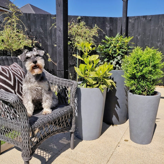 Modern Contemporary Round Tall Stone Vase Light Grey in Concrete Planter Pot Garden Outdoor Patio Balcony Trees Plants Flowers