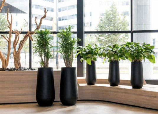 Grainy Black XXL Huge Tall Indoor Outdoor Ground Stone & Concrete Narrow Corner Planter pot Decor Natural Texture flower Vase Extra Large