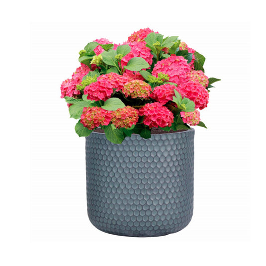 Slate Grey Honeycomb Polka Concrete Stone Cylindrical outdoor Planter Pot Modern Contemporary Design Garden Outdoor Balcony Decking Decor