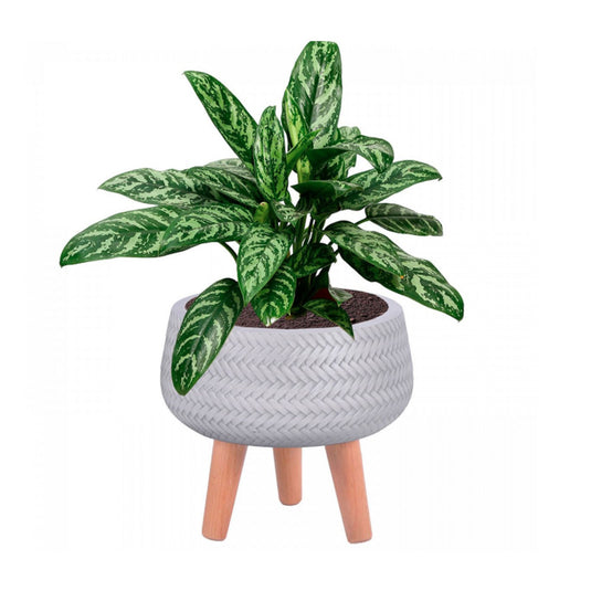 White  Stripped Patterned Concrete Stone Shallow bowl Planter Indoor Tripod Pot w Wooden legs Modern Interior Decor for faux or real plants