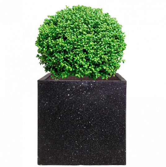 Terrazzo Square Box Contemporary Black Marble Light Concrete Planter Pot Outdoor Garden Balcony Patio Deck Bushes Trees Acers Flowers Decor