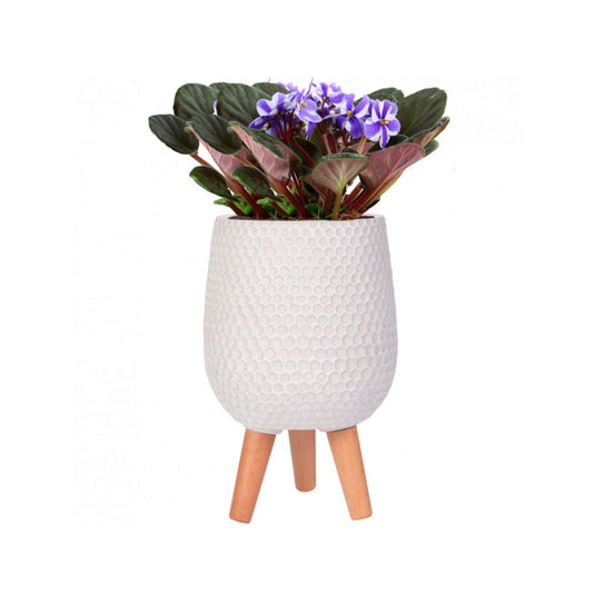 White Honeycomb Patterned Concrete Stone Egg Planter Indoor Tripod Pot w Wooden legs Modern Interior Décor for faux or real plants