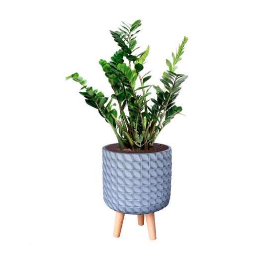 Grey Geometric Patterned Cylinder Concrete Stone Indoor Tripod Pot Planter w/ Wooden legs Modern Interior Decor for faux or real plants