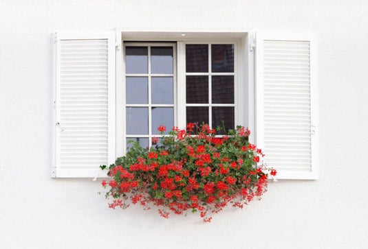 Premium Large Black Rectangular Concrete Window Box Planter Outdoor Balcony Terrace Deck Garden