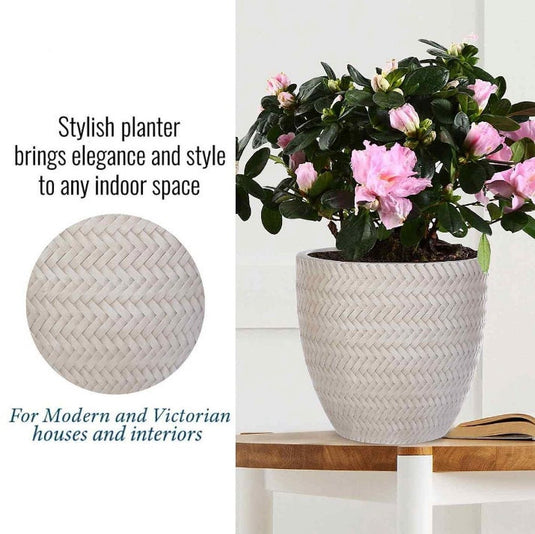 Rattan Weave Concrete Beige Planter, Oval Indoor Pot Plants Odour-free Durable Stone and Concrete Blend