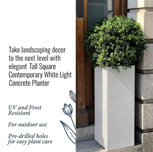 Tall White Contemporary Modern Light Concrete Planters Pots for Outdoor Balcony Garden Terrace Trees Shrubs Palms Standards Modern Decor