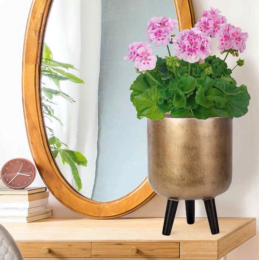 Contemporary Gold Round Stone & Fibreglass indoor Pot with Black Wooden Legs Cylinder Concrete  Tripod Planter Modern Interior Decor