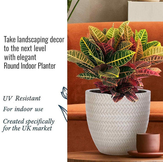 Rattan Weave Concrete Beige Planter, Oval Indoor Pot Plants Odour-free Durable Stone and Concrete Blend