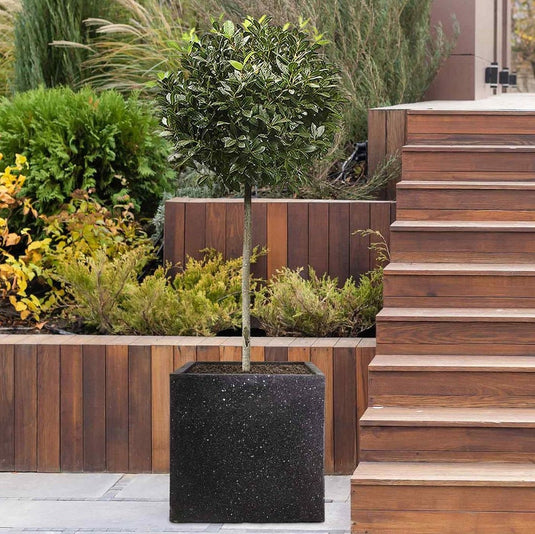 Terrazzo Square Box Contemporary Black Marble Light Concrete Planter Pot Outdoor Garden Balcony Patio Deck Bushes Trees Acers Flowers Decor