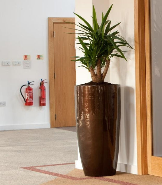 Ceramic-Look Stone & Fibre Planter -RAL colours Lightweight, Waterproof, and Frost Resistant Indoor outdoor